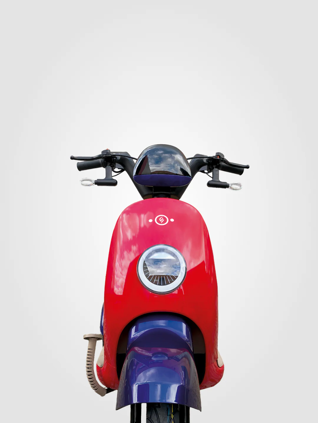 Beetle - Image 10