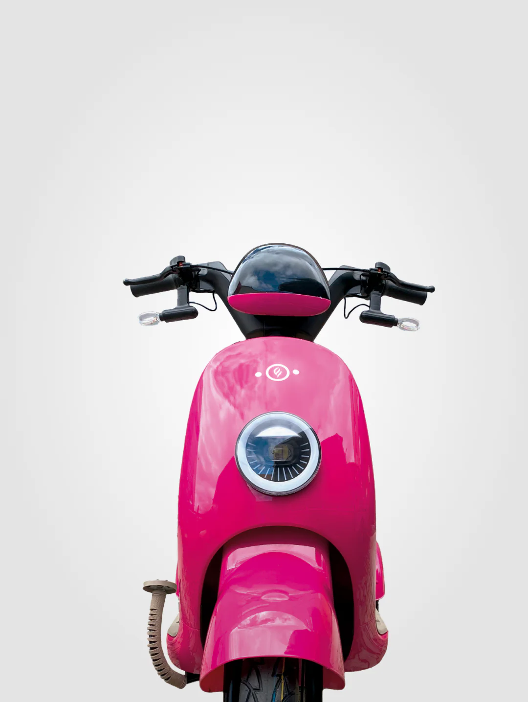 Beetle - Image 2