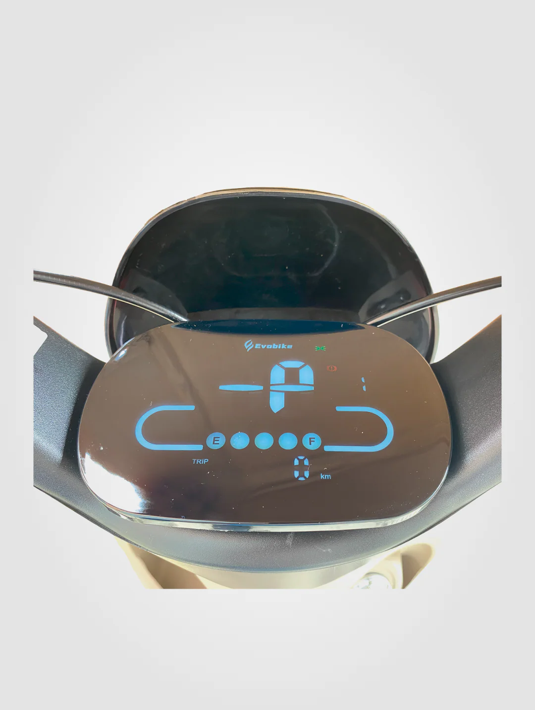 Beetle - Image 7