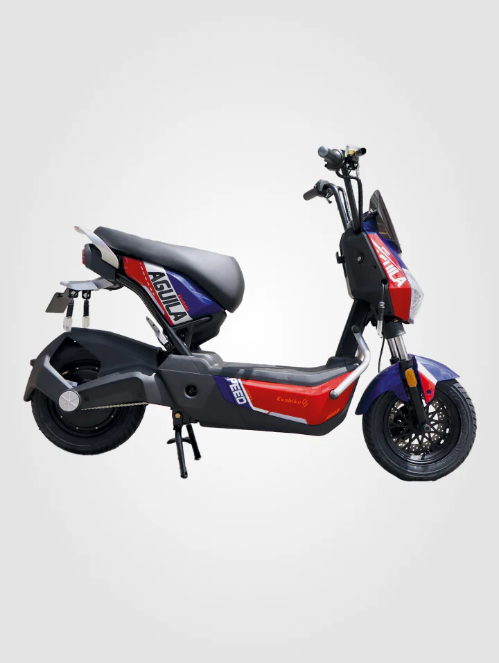Bicicleta Águila - Image 7