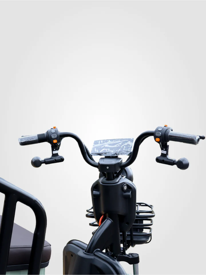 Bicicleta Family Plus - Image 12