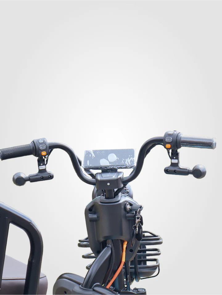 Bicicleta Family Plus - Image 21