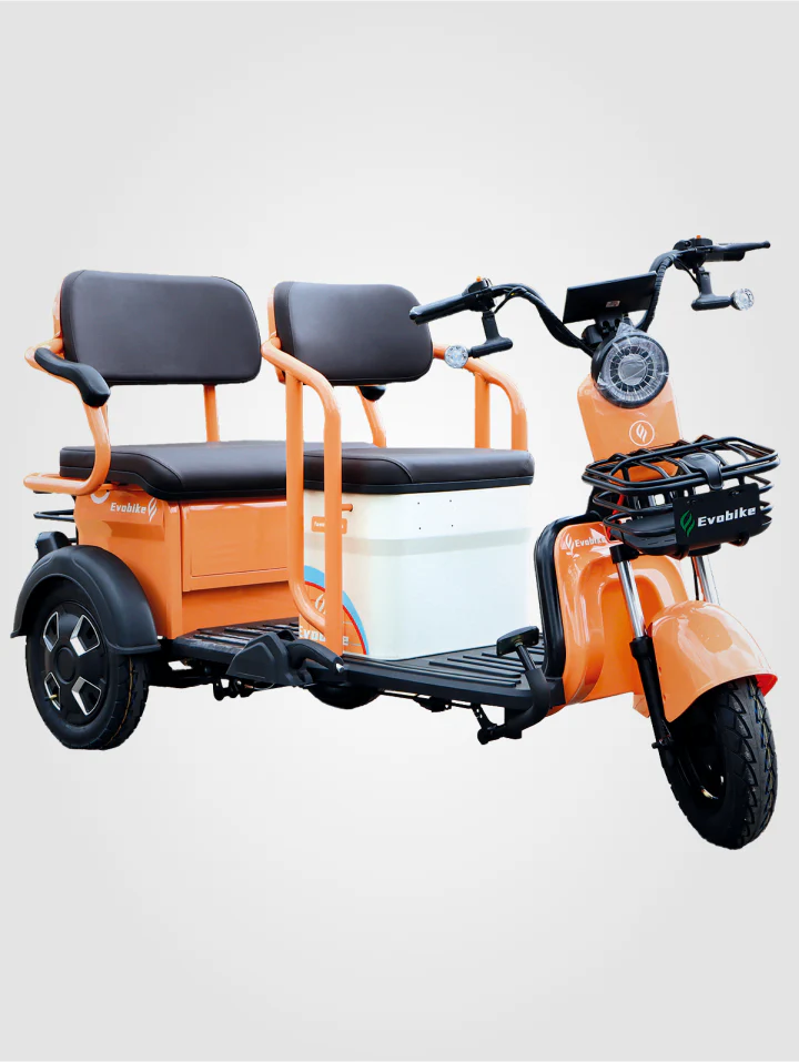 Bicicleta Family Plus - Image 3