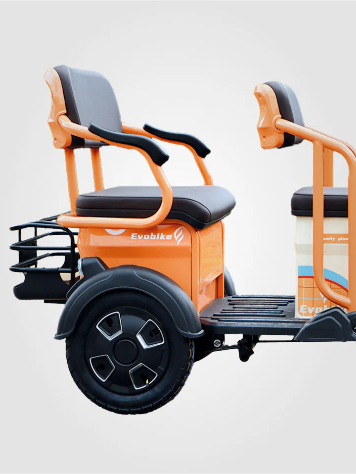 Bicicleta Family Plus - Image 5