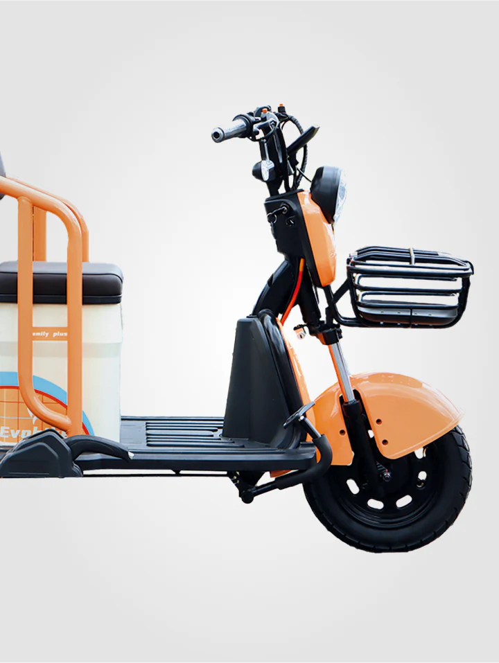 Bicicleta Family Plus - Image 6