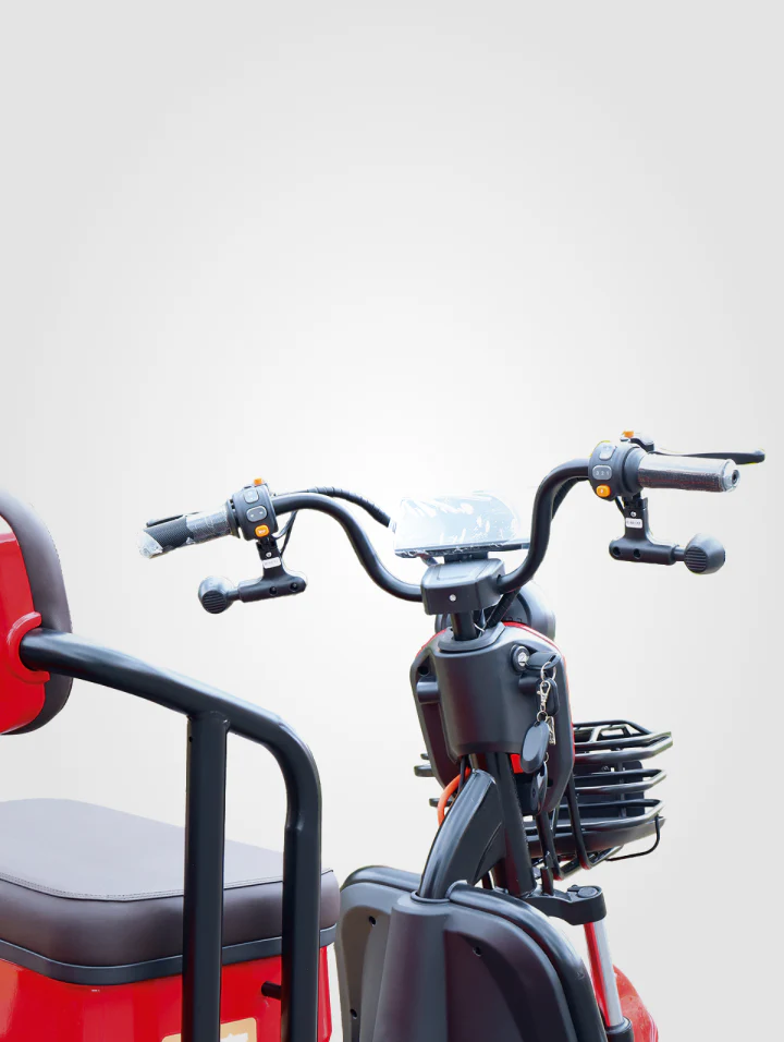 Bicicleta Family Plus - Image 8