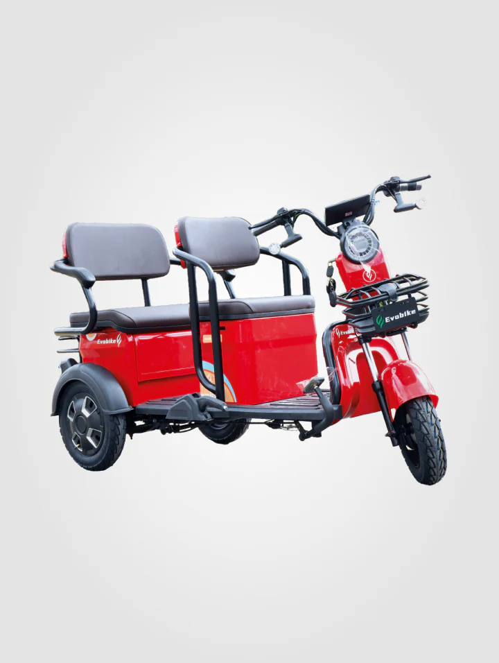 Bicicleta Family Plus - Image 9