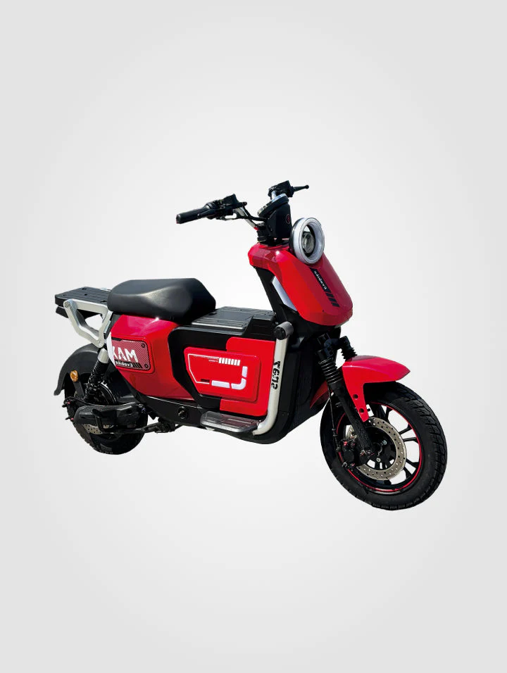 Bicicleta Zeus - Image 3