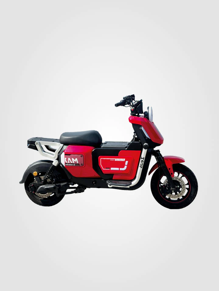 Bicicleta Zeus - Image 4