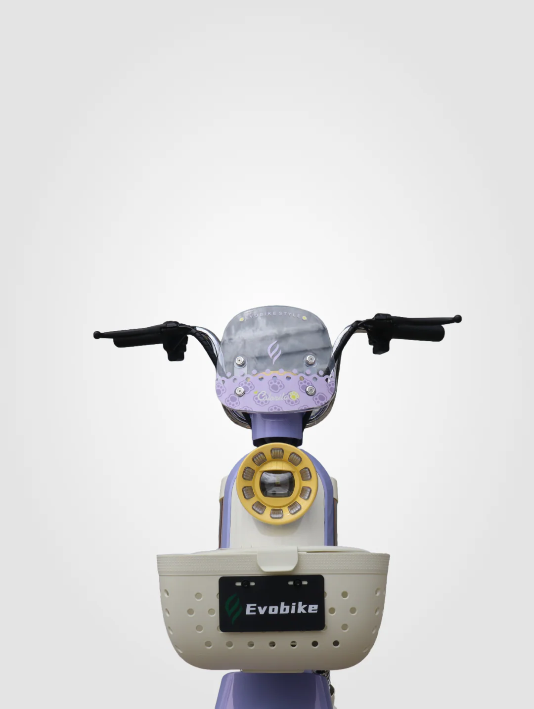 Colorita - Image 7
