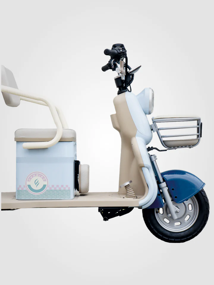Family Q Plus - Image 4