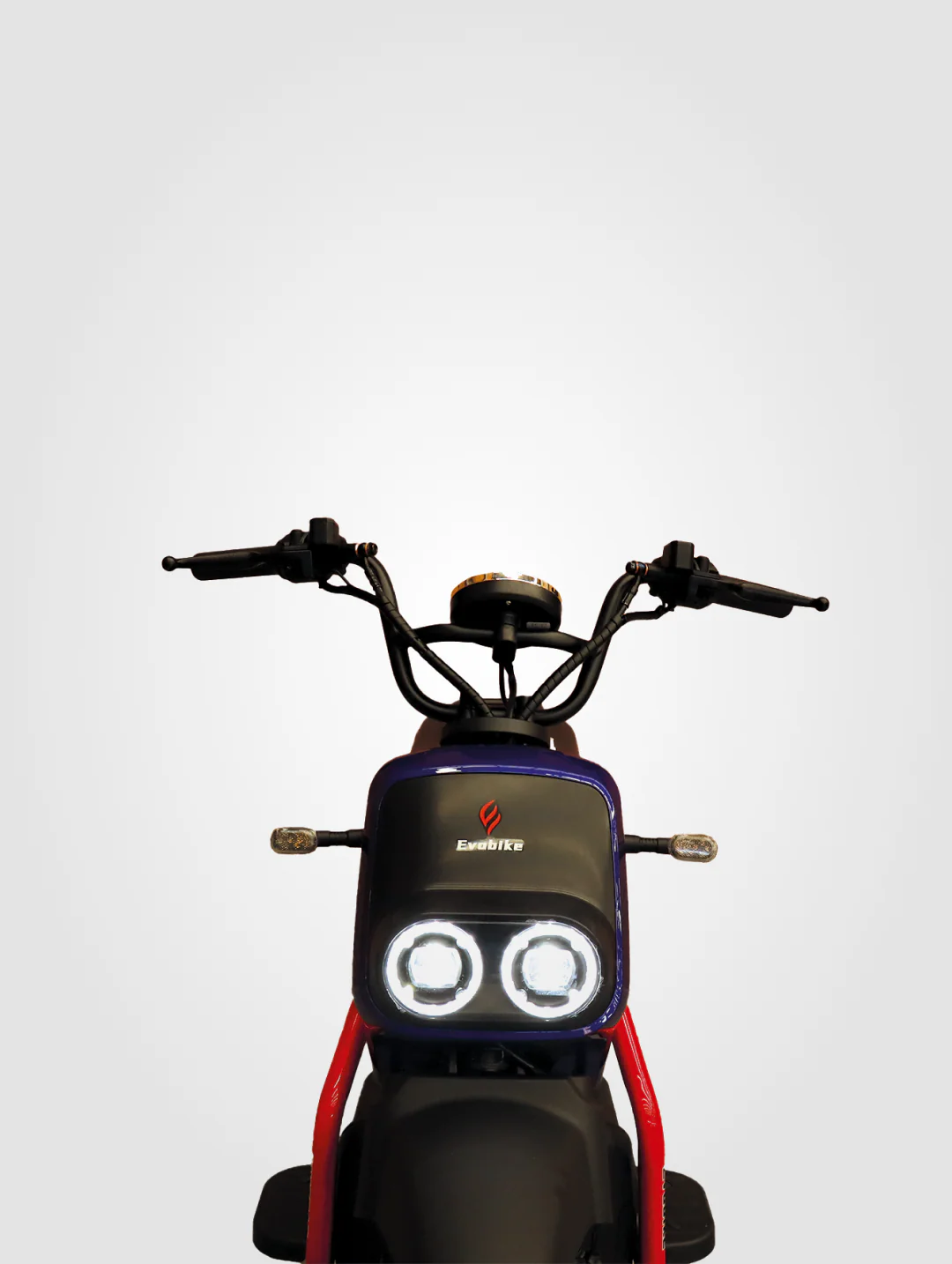 Polar - Image 2