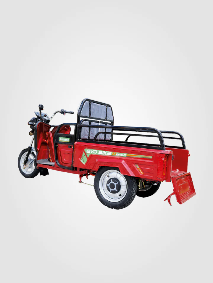 Triciclo Cargo - Image 3