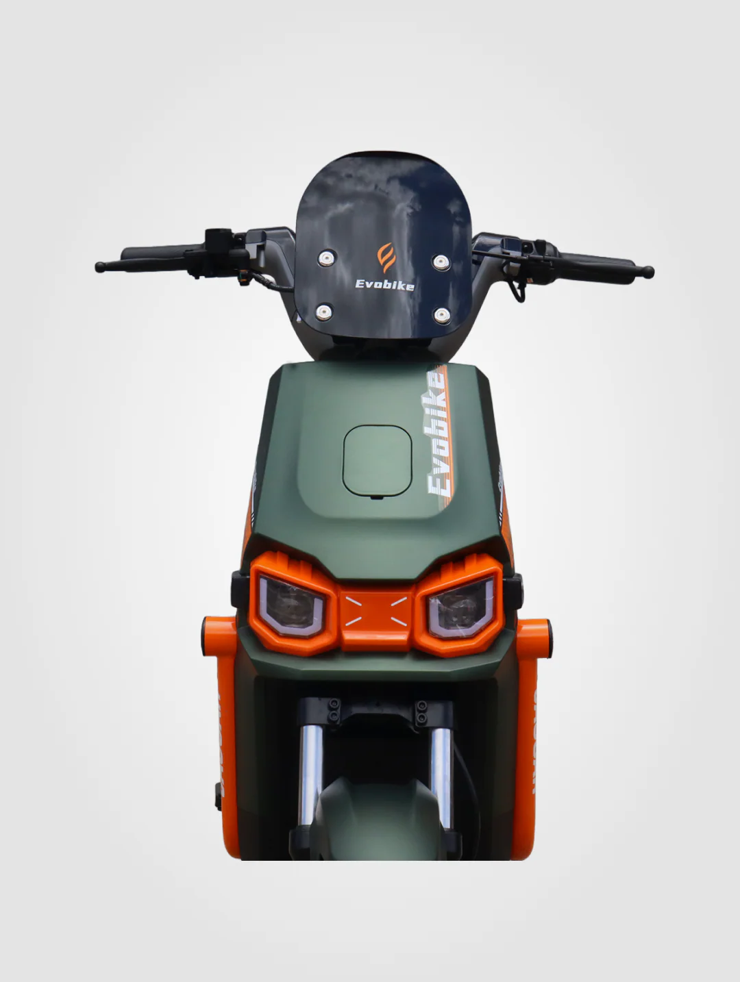 Jaguar - Image 19