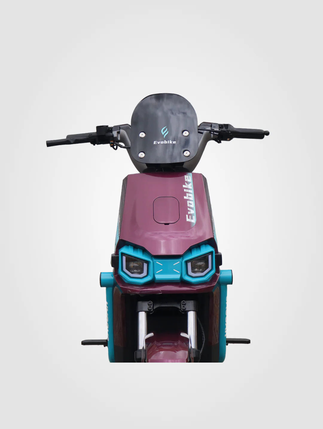 Jaguar - Image 3